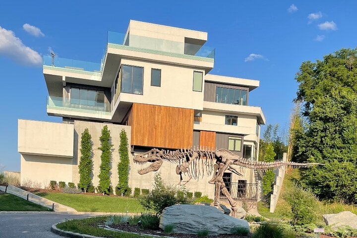 Nashville "Homes of the Stars" Helicopter Tour - Photo 1 of 4